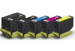 Epson T202 XL Giallo Cartuccia Compatibileper XP6000 XP6005 XP6105